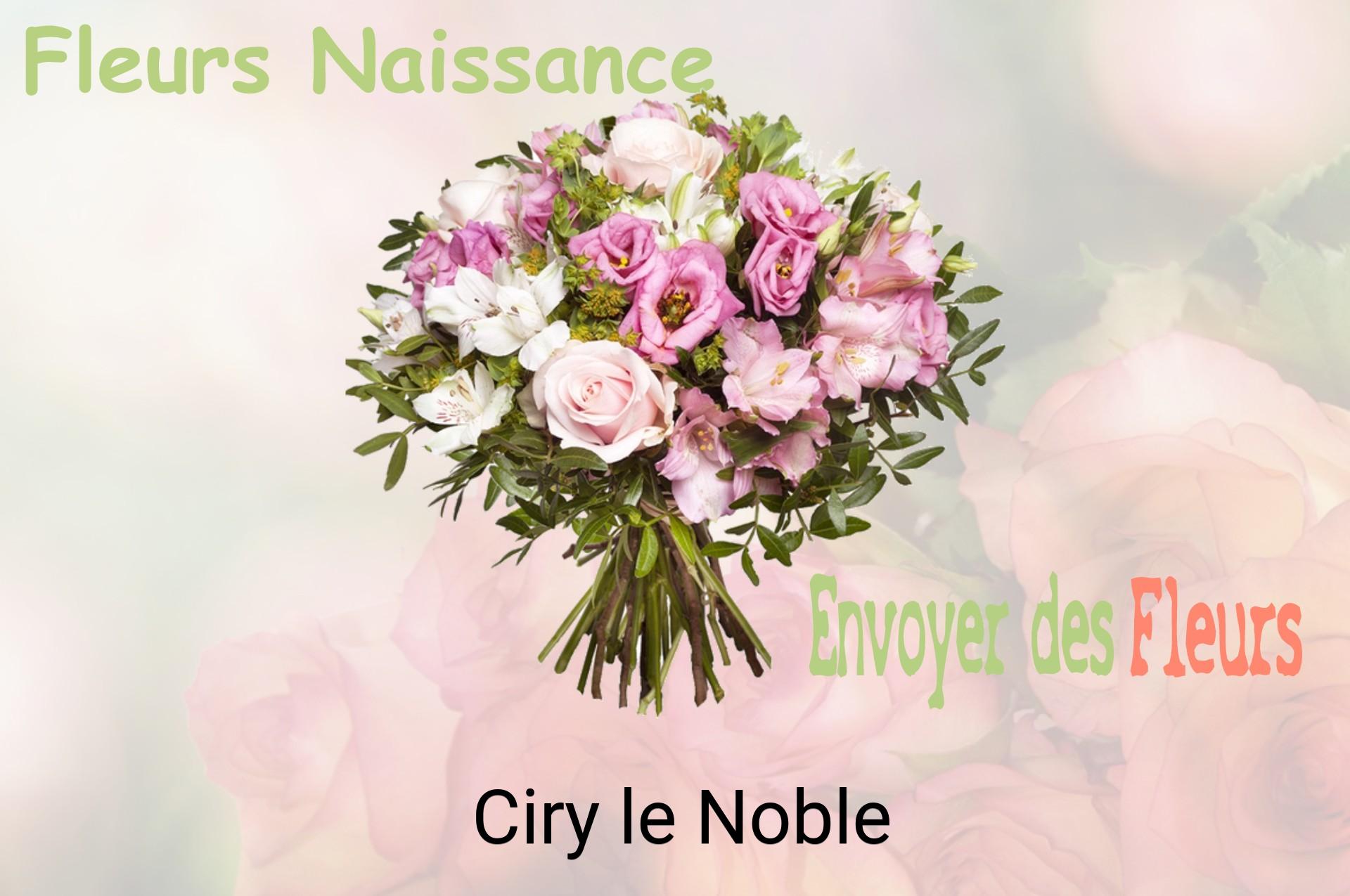 Bouquet de fleurs de naissance livré à Ciry-le-Noble