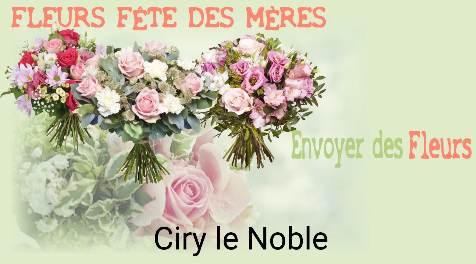 Bouquet de Fête des Mères livré à Ciry-le-Noble